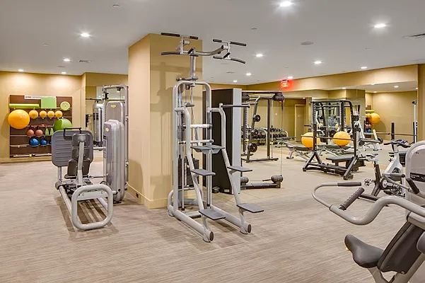 Rented by Douglas Elliman | media 4