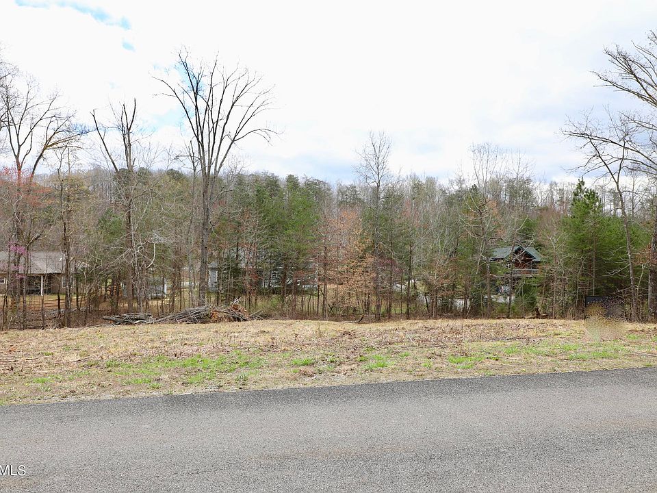 1st image of Pine Loop Dr