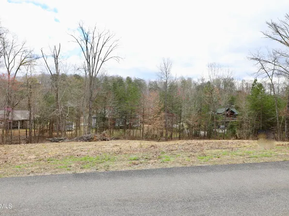 Pine Loop Dr, Madisonville, TN 37354