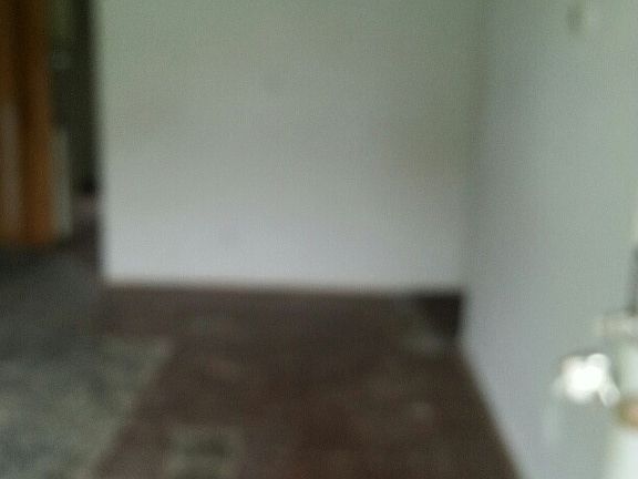 5th image of 1110 N Washington St