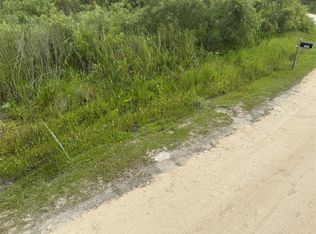 Otter Dr LOT 45, Webster, FL 33597