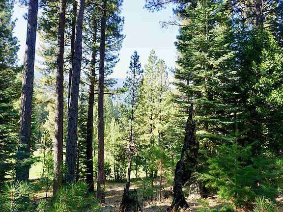 2nd image of 180 Saddle Ridge Rd