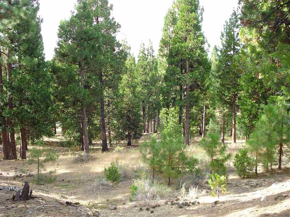 1st image of 248 Peppergrass Ln