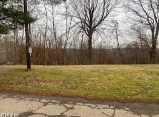 54257 Fulton Hill Rd, Bellaire, OH 43906