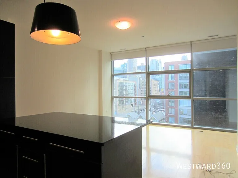 225 S Sangamon #605 — Photo 9