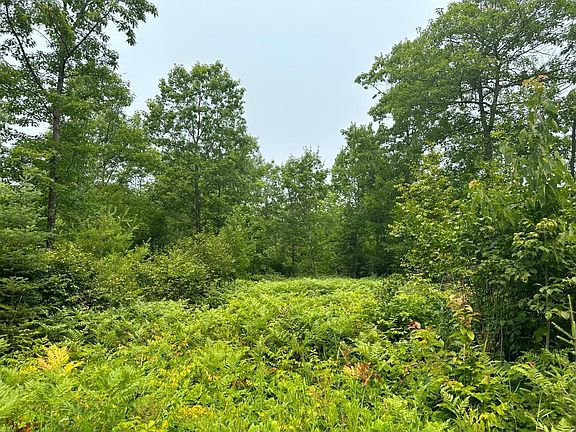 5th image of Lake Rd