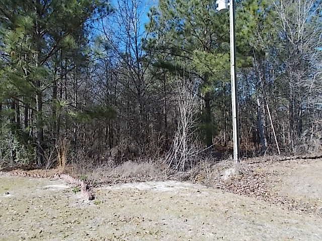 2nd image of 0 Sherry Lane