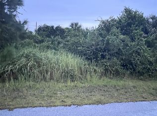1159 Waterford St SE, Palm Bay, FL 32909