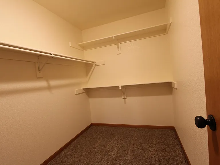 Spacious master closet
