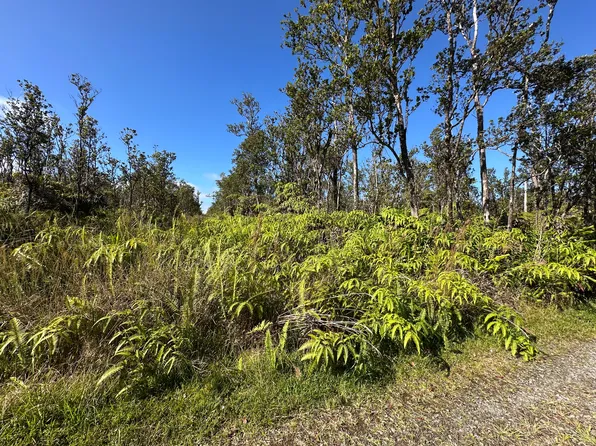 Uakoko Rd Lot 16, Volcano, HI 96785