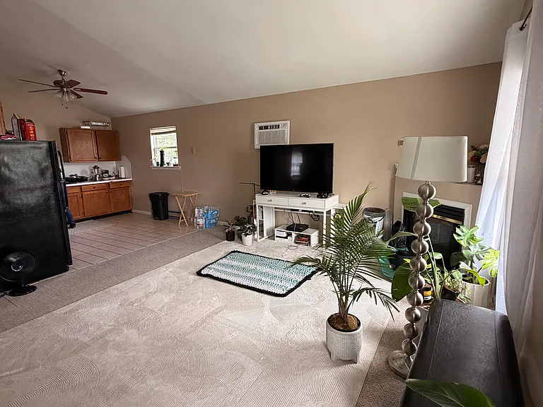 1225 W Whitehall St #1223 — Photo 4