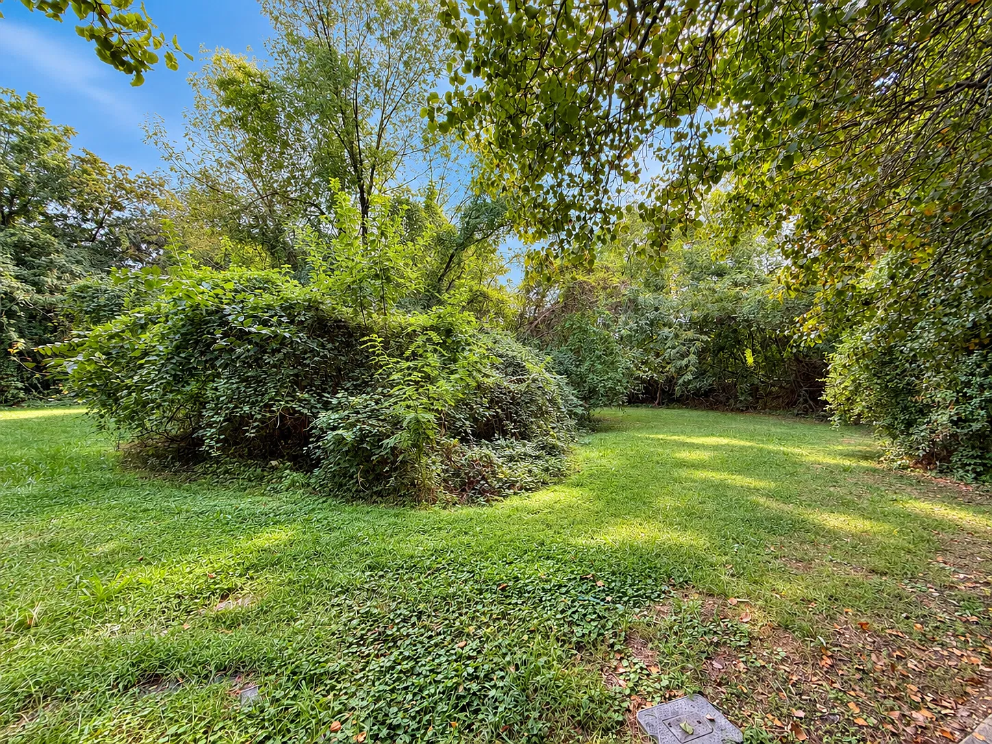 3 bed, 4.5 bath, 4200 sqft, $2,950 — Photo 4