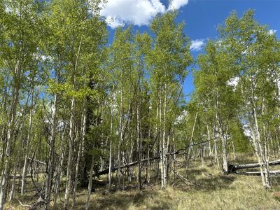 75 Ithaca Ln, Como, CO, 80432