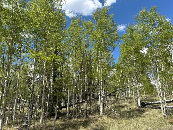 75 Ithaca Ln, Como, CO 80432