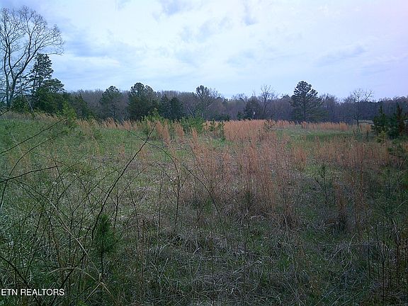 4th image of 9927 Stringtown Rd