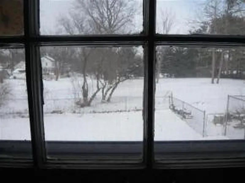 Thumbnail 15
