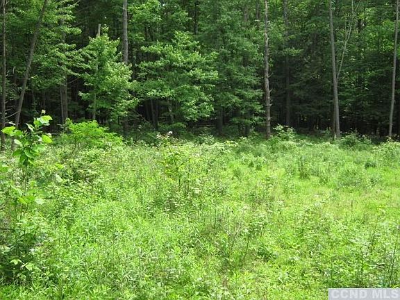 5th image of 172 Pine Tree Lane