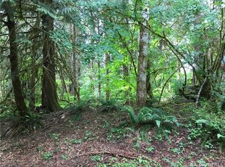 15023 Iceberg Rd, Glacier, WA 98244