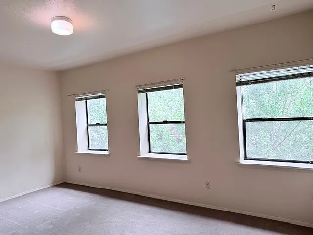 8509 Greenwood Ave N #10 — Photo 5