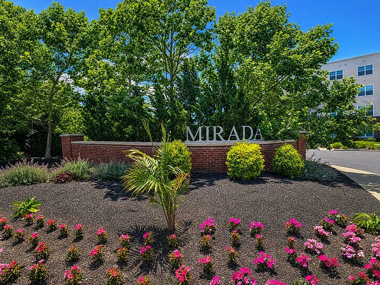 Mirada — Photo 54