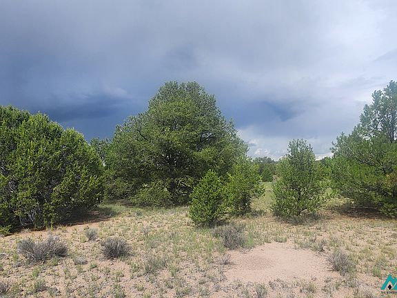 4th image of Pinewood Cir