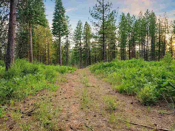 5th image of LOT Timber Country Ranch Rd #A