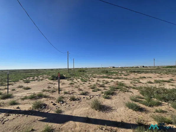 116 Amber Dr, Hagerman, NM 88232