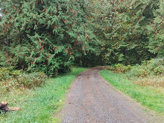 3rd image of 11730 Mountain Loop Highway
