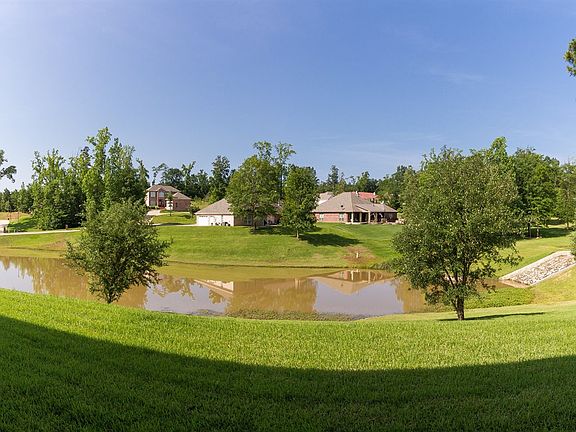 Welcome to Spring Creek!