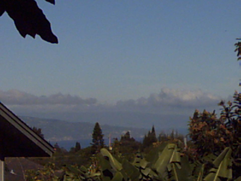 peek-a-boo view
