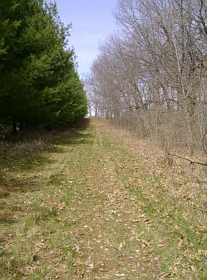 4th image of 0 W Chinquapin Dr