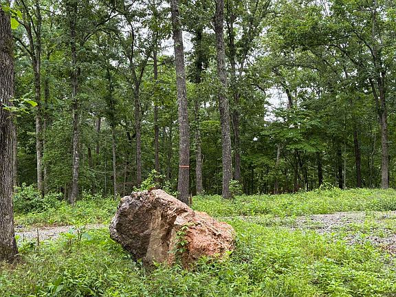 5th image of 37 Tall Pine Cir