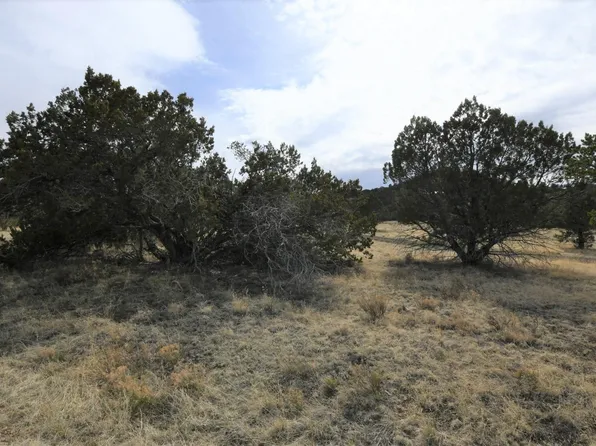 Saddleback Rd, Alto, NM 88312