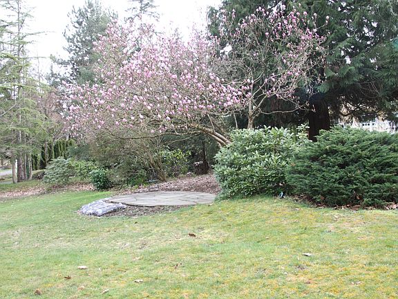 3rd image of 12919 NE 87th St