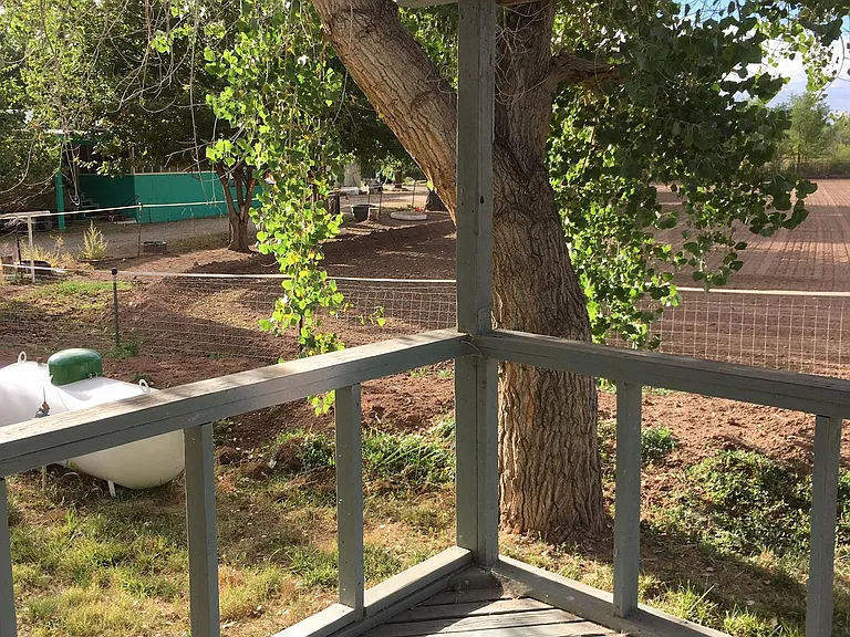 Back Deck