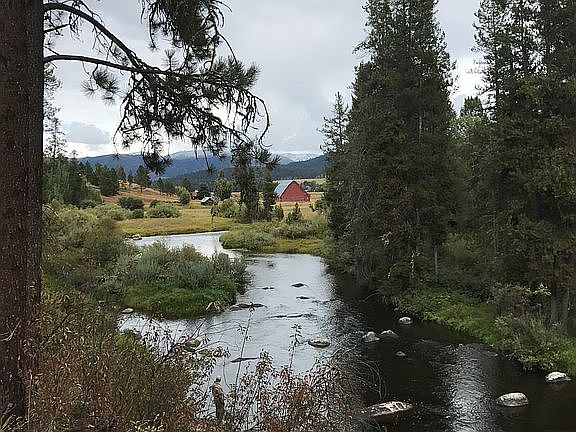 from back yard water edge