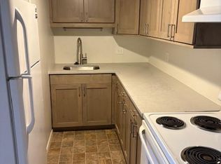 135 W 11th St #203, Silverthorne, CO 80498