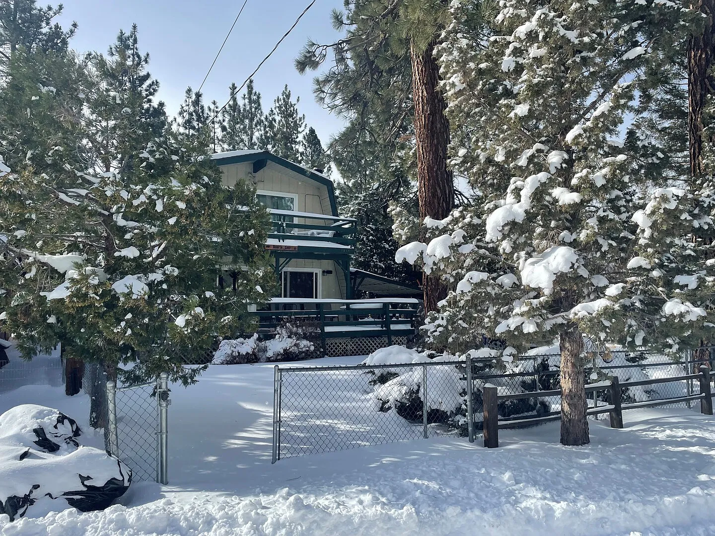 Bears Lair — Photo 1