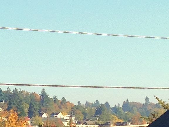 Walk to Lake Washington & vibrant Columbia City