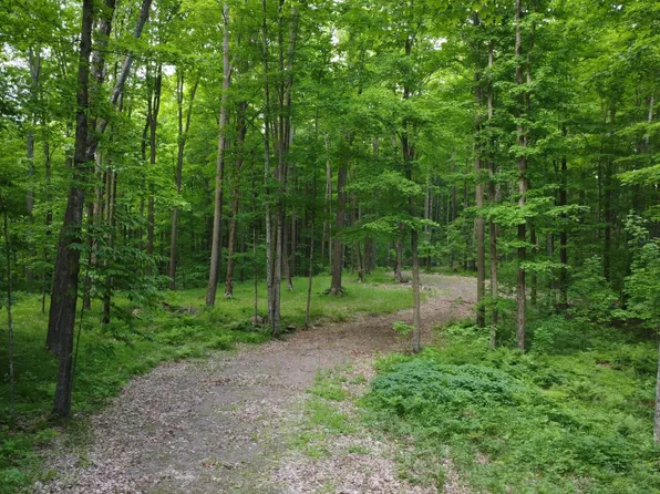 0 Grudgeville Rd, White Lake, WI 54491