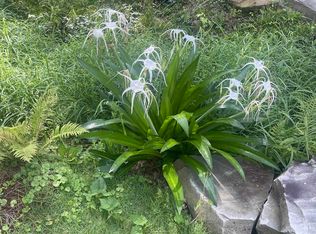 0 Sunrise Ln #6, Birmingham, AL 35242