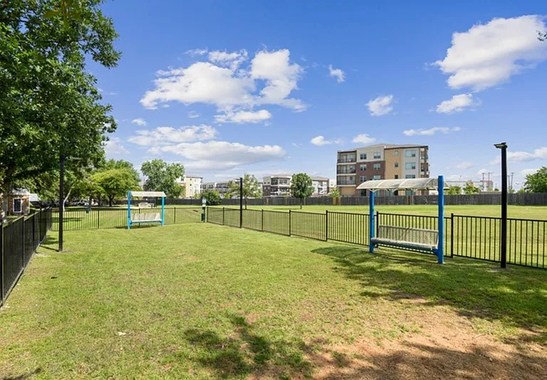 Dog Park