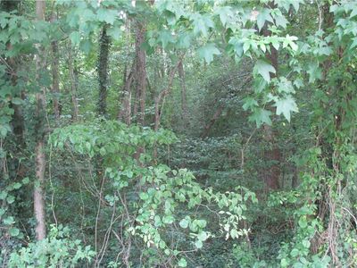 0 Crater Cir Lot B, Petersburg, VA, 23805