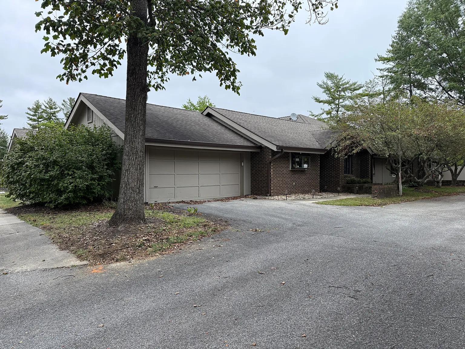 3 bed, 1290 sqft, $3,500 — Photo 2