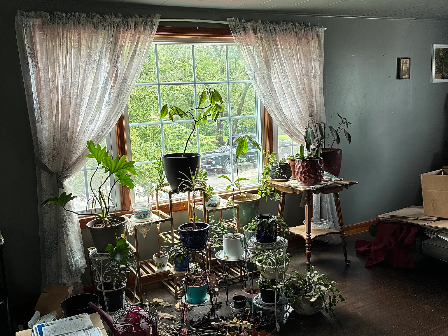 1 bed, 1080 sqft, $750 — Photo 4