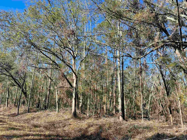 Vacant Ne Nixon Way, Madison, FL 32340