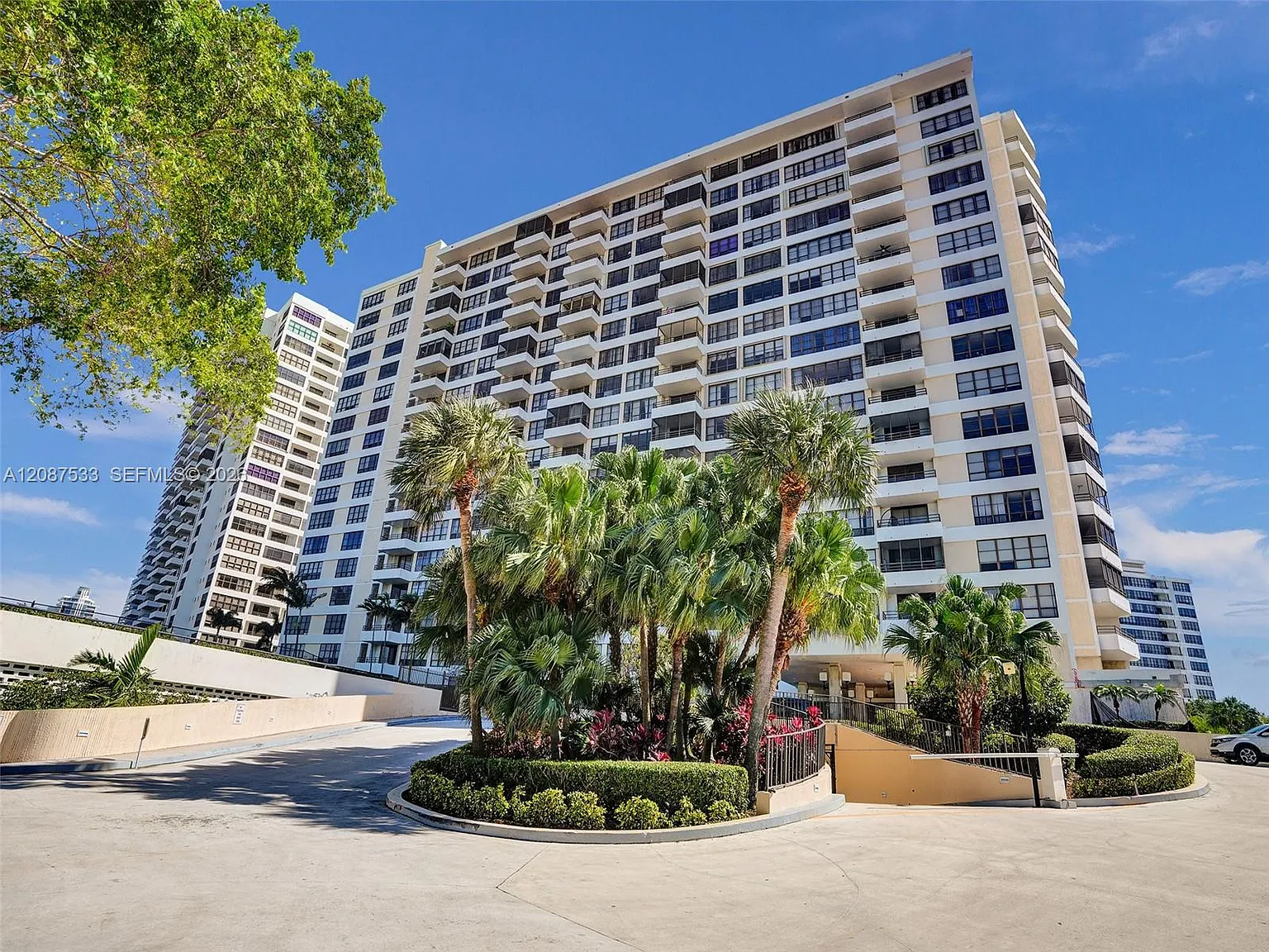 Olympus Condo Phase — Photo 1