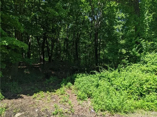 00 South Road, Holmes, NY 12531