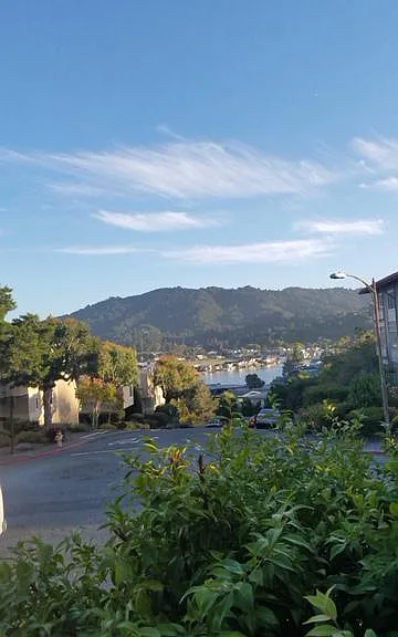 View from the Living Room and balcony
