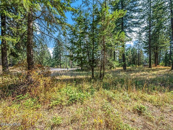 3rd image of L4b1 N Walden Loop